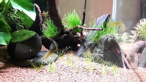 14197_5c143bf240d11.jpg 1600X900 px