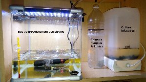 14319_5c0ba657cbd07.jpg 1600X900 px