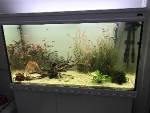 Comment réduire la consommationélectrique d'un aquarium ?