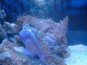 1434_494e79414fcc8.jpg 1280X960 px