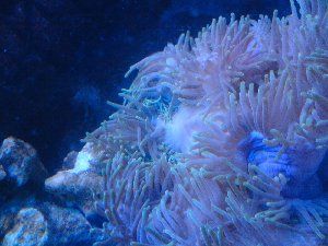 1434_494e79580ab2f.jpg 1280X960 px
