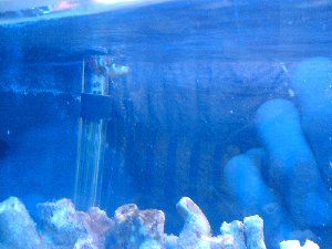 1434_4950d77cecd1b.jpg 1280X960 px