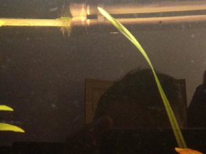 14529_5be5e97a7837b.jpg 1600X1200 px