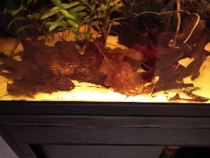 14529_5be5ea42e4934.jpg 1600X1200 px