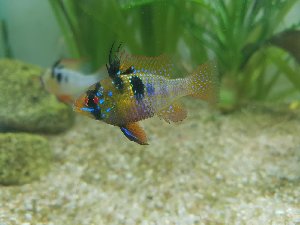 14738_5b0dbcf39b814.jpg 1600X1200 px