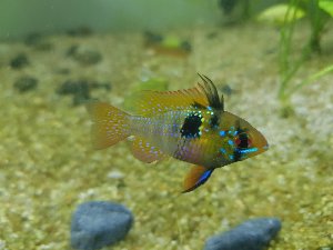 14738_5b0dbd08a2278.jpg 1600X1200 px