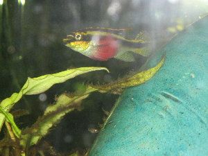 1473_496a1db484b7c.jpg 300X225 px