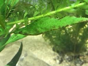 14819_5a5e93d4ea8be.jpg 1600X1200 px
