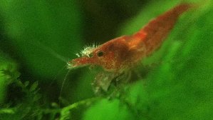 15079_5af6ee703260f.jpg 1600X900 px