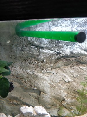 15247_5ac14372e1cc7.jpg 900X1200 px