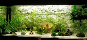 15247_5b05d29ab5d3f.jpg 1600X745 px