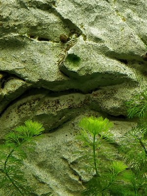 15247_5b05d426accb9.jpg 900X1200 px