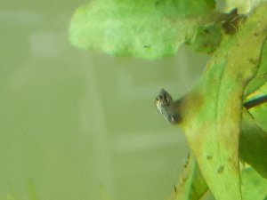 15252_5ac21674262e2.jpg 1600X1200 px
