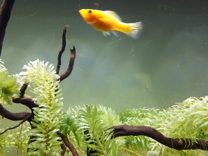 15252_5aeb4803d0ea0.jpg 1600X1200 px