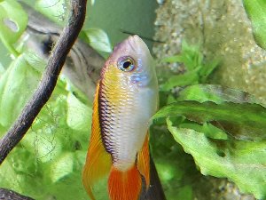 15252_5bcf509bc0abc.jpg 1600X1200 px
