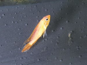 15252_5bd0b880761bc.jpg 1600X1200 px