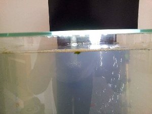 15282_5ab61af371ec6.jpg 960X720 px