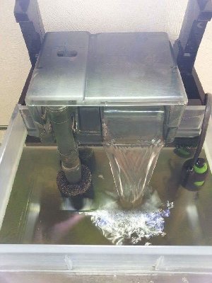 15282_5ab64588758ab.jpg 720X960 px