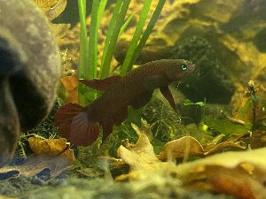 15389_5fb3d1fc389d6.jpg 1600X1200 px