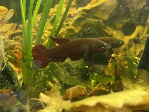 15389_5fb3d209978fe.jpg 1600X1200 px
