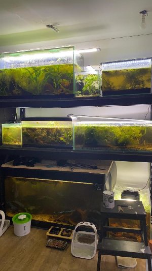 15389_5fd6604f1faba.jpg 675X1200 px