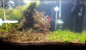 15472_5ac7c39bd3342.jpg 1600X930 px