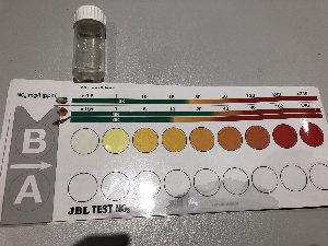 15477_5acd07bd6710e.jpg 1600X1200 px