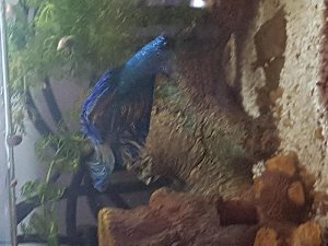 15523_5ad240dbbfd3b.jpg 1600X1200 px