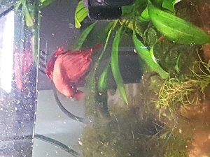 15523_5ad241025af54.jpg 1600X1200 px