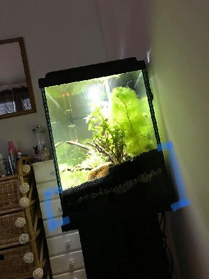 15525_5ad2629abde82.jpg 720X960 px