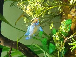 15535_5ad4b61dd1e88.jpg 1600X1200 px