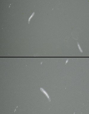 15595_5af6fb429aab9.jpg 784X1000 px