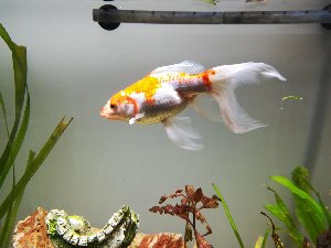 15656_5f3a695e85bac.jpg 1600X1200 px
