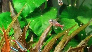 15783_5cc0b0b16383f.jpg 1600X900 px