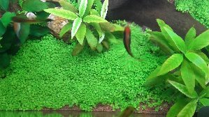 16134_5b7ab3390ea2b.jpg 1600X900 px