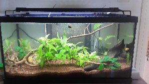 16134_5ba4b90d2d0b5.jpg 1600X900 px