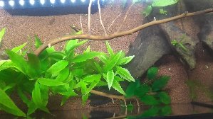 16134_5ba4b9175ea37.jpg 1600X900 px