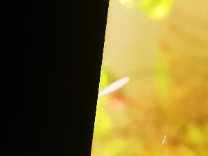 16210_5b9abb4de84ae.jpg 1600X1200 px