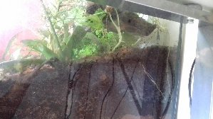 16223_5b7abd13ad1af.jpg 1600X900 px