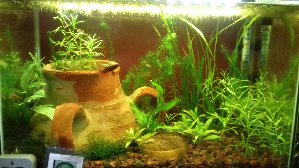 16223_5bb5abc2d5a32.jpg 1600X900 px