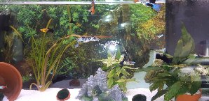 16313_5b85ab2edd27d.jpg 1600X778 px