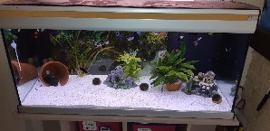 16313_5b8e3a9fcb742.jpg 1600X778 px