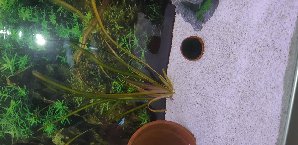 16313_5b8e3ab00f4e9.jpg 1600X778 px