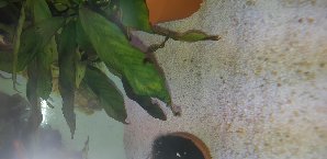 16313_5b8e3ac0862c9.jpg 1600X778 px