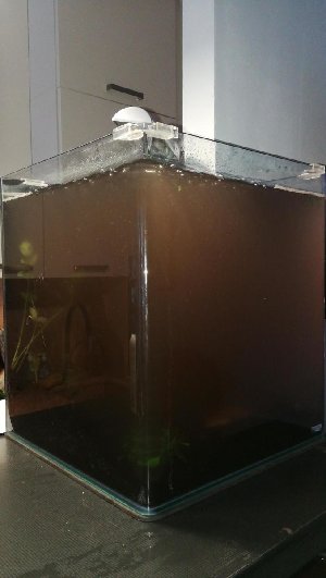 16323_5c449273ec087.jpg 677X1200 px