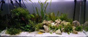16323_5c48d30ff110d.jpg 1600X675 px