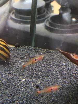 16330_5bc7482cc19fa.jpg 900X1200 px