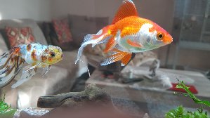 16367_5c5d3c4486bfe.jpg 1600X900 px