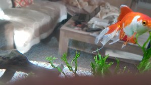 16367_5c5d3cebd7897.jpg 1600X900 px