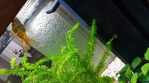 16367_5db053ff9b38f.jpg 1600X900 px